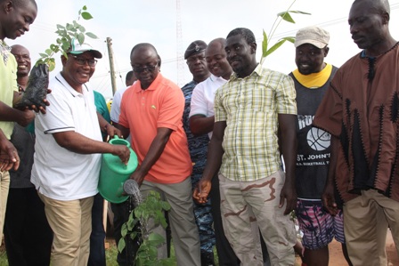 KMA undertakes tree-planting exercise